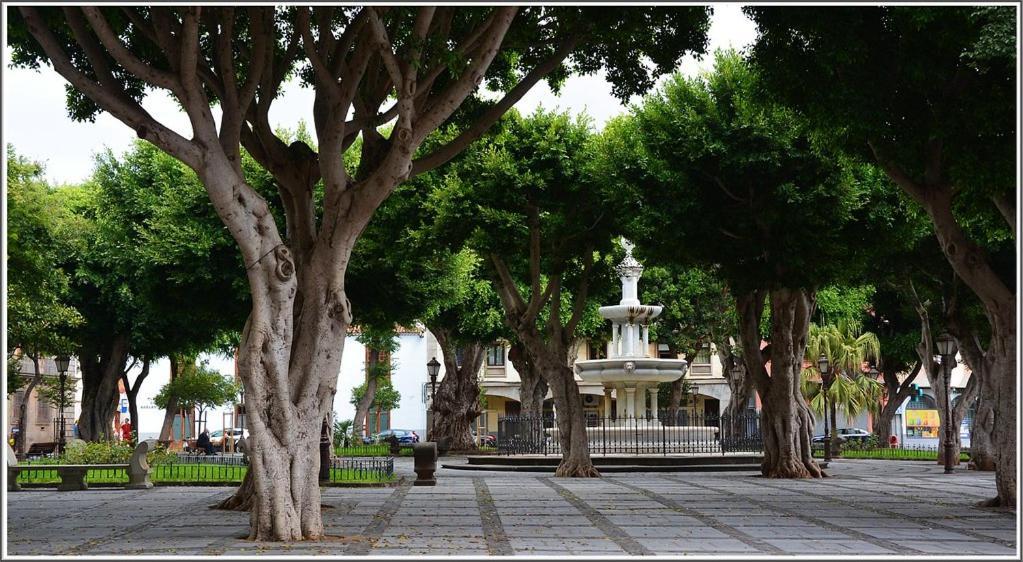 Residencial Gara Cerca Del Centro Διαμέρισμα Σαν Κριστόμπαλ ντε Λα Λαγούνα Εξωτερικό φωτογραφία